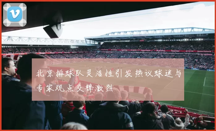 北京排球队灵活性引发热议球迷与专家观点交锋激烈
