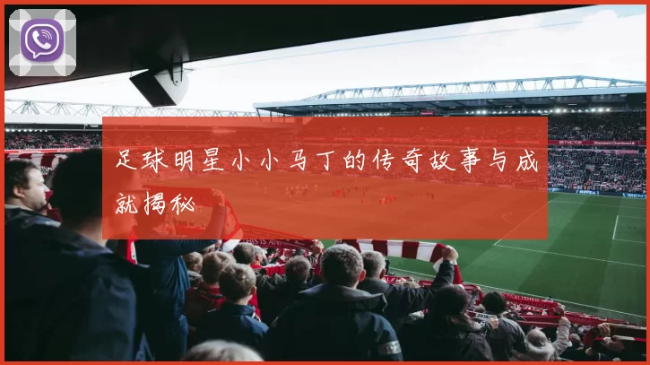 足球明星小小马丁的传奇故事与成就揭秘