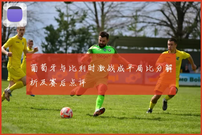 葡萄牙与比利时激战成平局比分解析及赛后点评