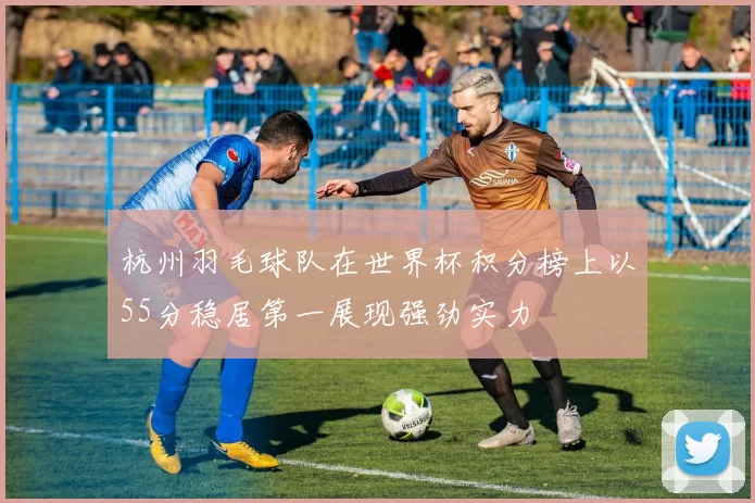 杭州羽毛球队在世界杯积分榜上以55分稳居第一展现强劲实力