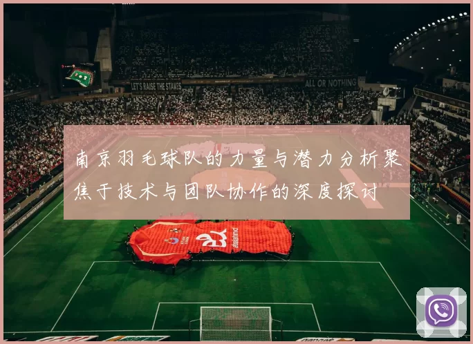 南京羽毛球队的力量与潜力分析聚焦于技术与团队协作的深度探讨
