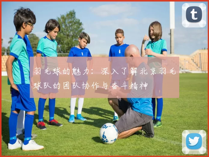 羽毛球的魅力：深入了解北京羽毛球队的团队协作与奋斗精神