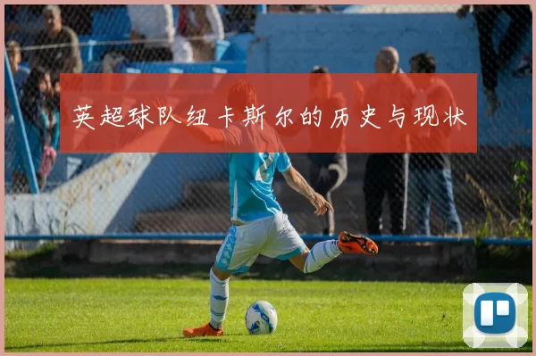 英超球队纽卡斯尔的历史与现状