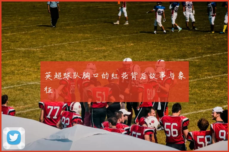 英超球队胸口的红花背后故事与象征