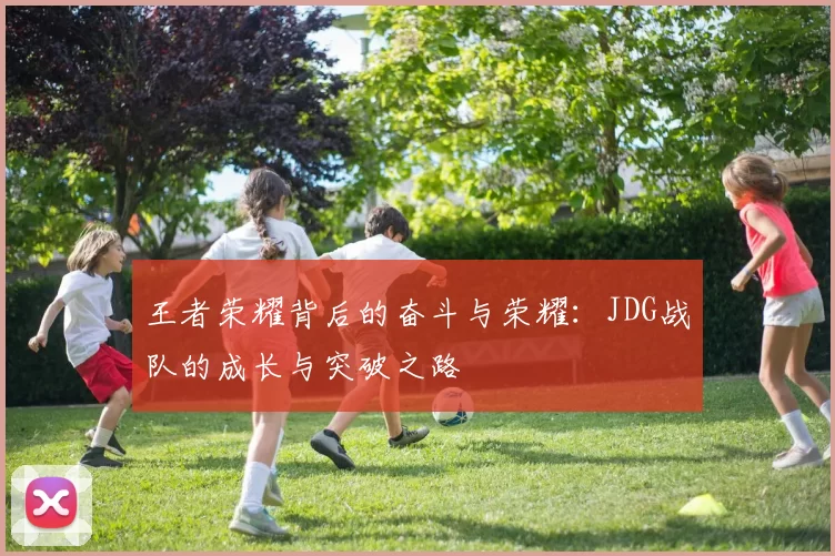 王者荣耀背后的奋斗与荣耀：JDG战队的成长与突破之路