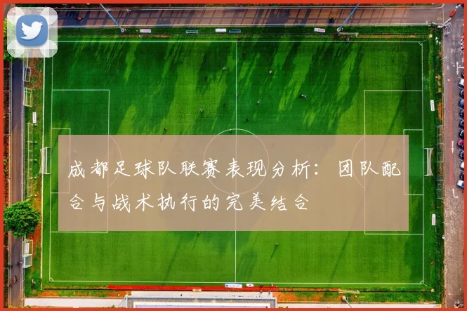 成都足球队联赛表现分析：团队配合与战术执行的完美结合